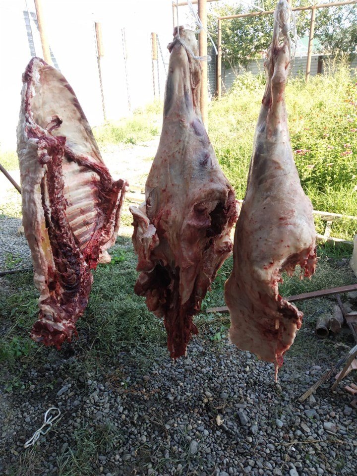 Mingəçevirdə ölmüş heyvan ətinin satışa çıxarılmasının qarşısı alınıb