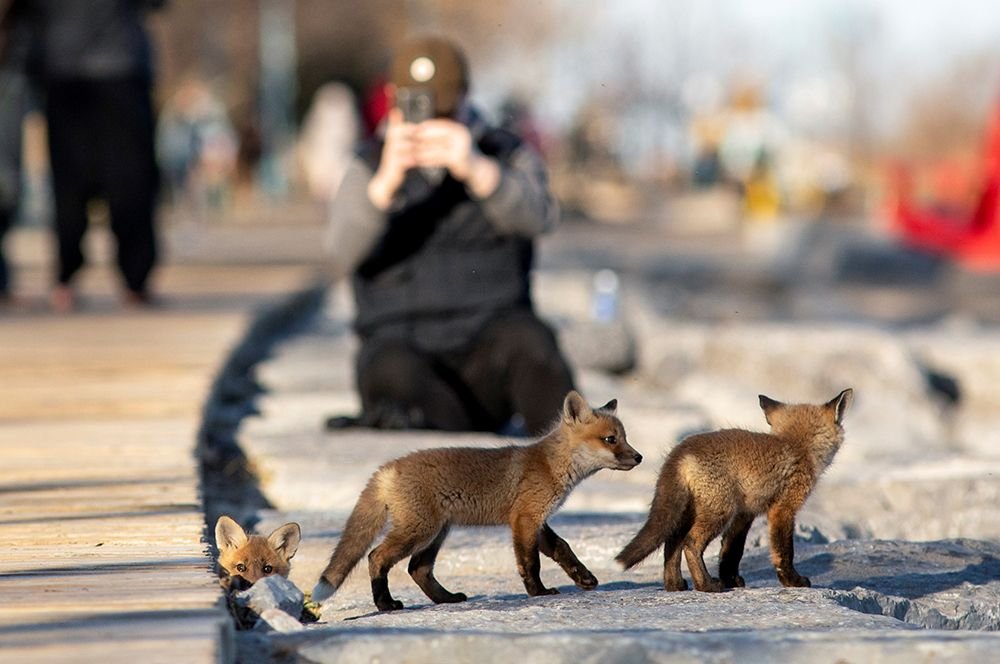 BAKU.NEWS