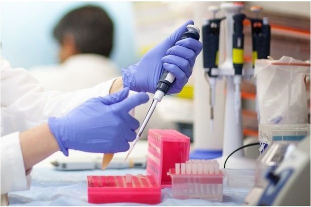 Koronavirusla bağlı 1614058164 1610441755 1610262466 1608571786 1608455170 1608280799 coronavirus doctors 10 1.jpg
