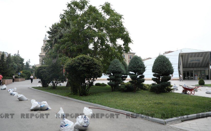 Tağıyevin heykəli burada qoyulacaq 1626337030 784880bd 396a 3004 ae80 a6756245e951 850.jpg
