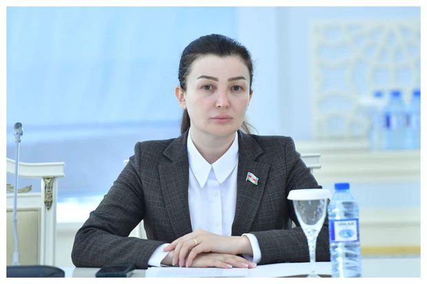 Soyqırımın günahkarları beynəlxalq məhkəmə qarşısında cavab verməlidir 1677346962 fotojet.jpg