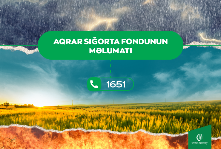 Sel-daşqınlara görə 1000-dən artıq müraciət daxil olub 1688542594 amyjb2yh5md2vugtfs1rcuq1jerwgdt031yuunh8.png