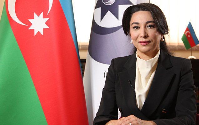 Ombudsmanın səlahiyyətləri artırıldı 1690291864 sebine.jpg