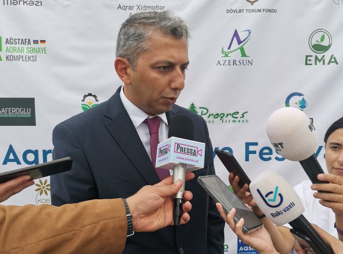 Azərbaycanda taxıl toxumuna tələbatın 1694697001 niyazemibbeyov.jpg