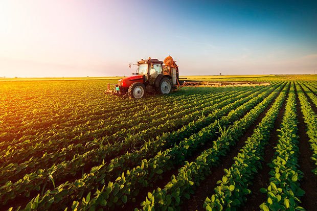 1697557310 tractor spraying pesticides on soybean field with sprayer at spring copy s.jpg