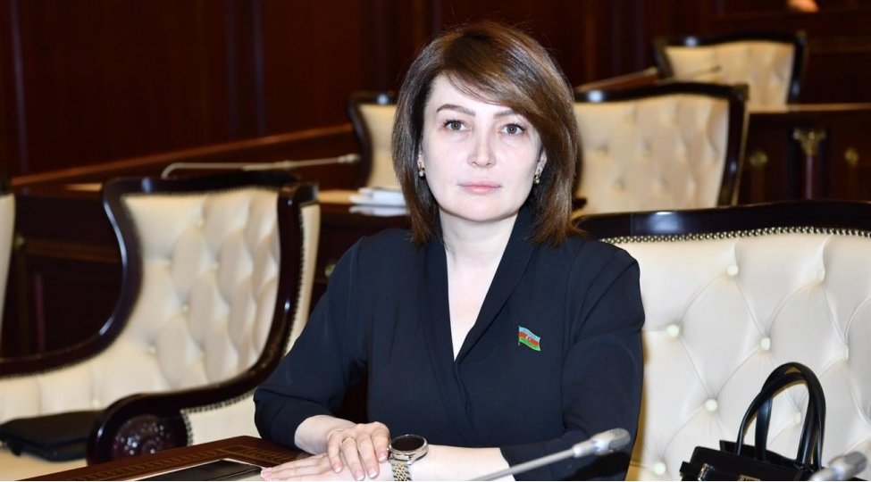 “Müstəqil dövlətimizin ilk Konstitusiyasının milli dövlətçilik tariximizdə müstəsna yeri var” 1699780080 e3f3064a158736483562167887210301086.jpg