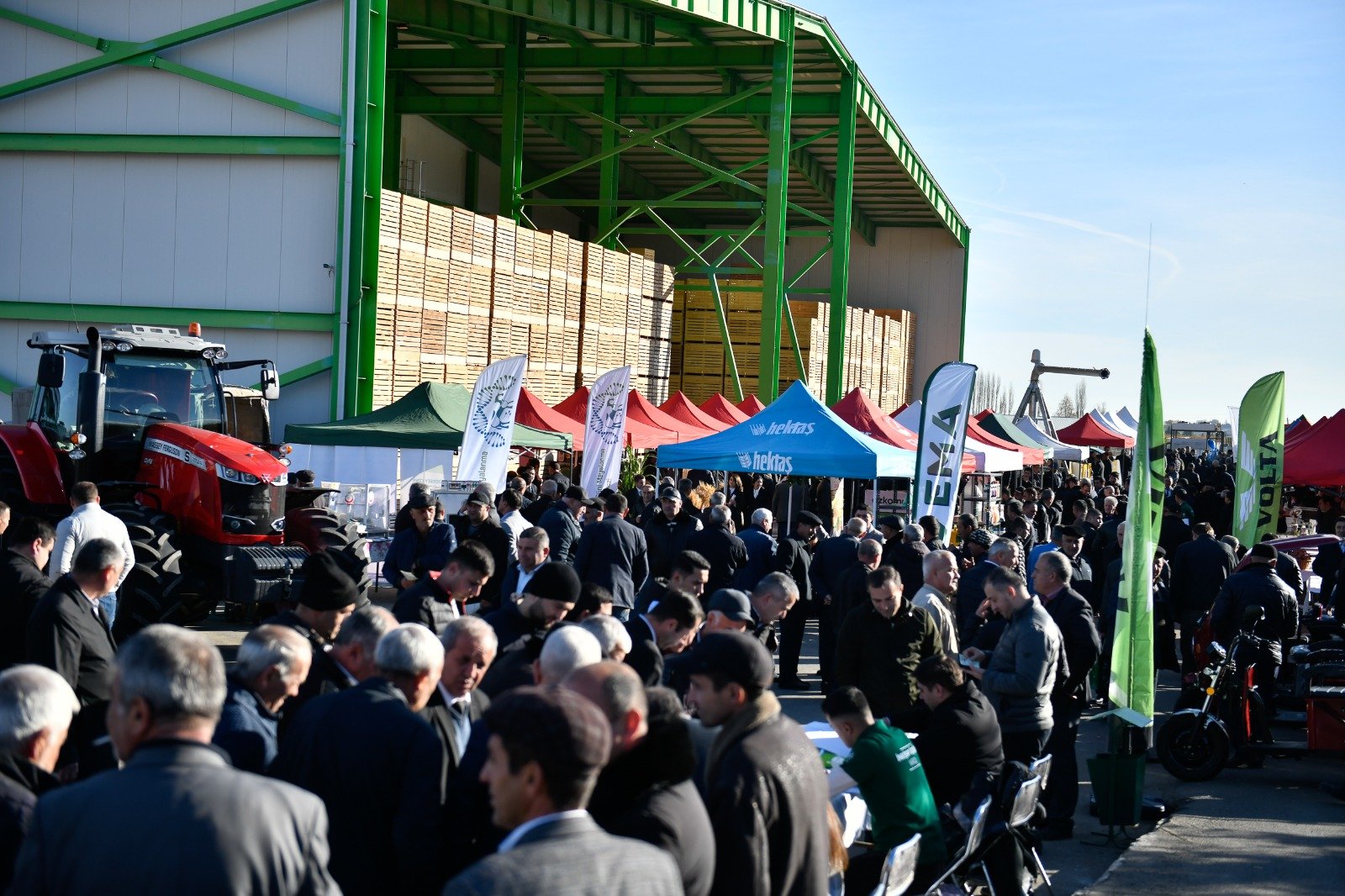 Tovuzda Aqrar İnnovasiya Festivalı keçirilib 1700748679 dc8e326a 248f 420d b14a 82c2aaea035a.jpg