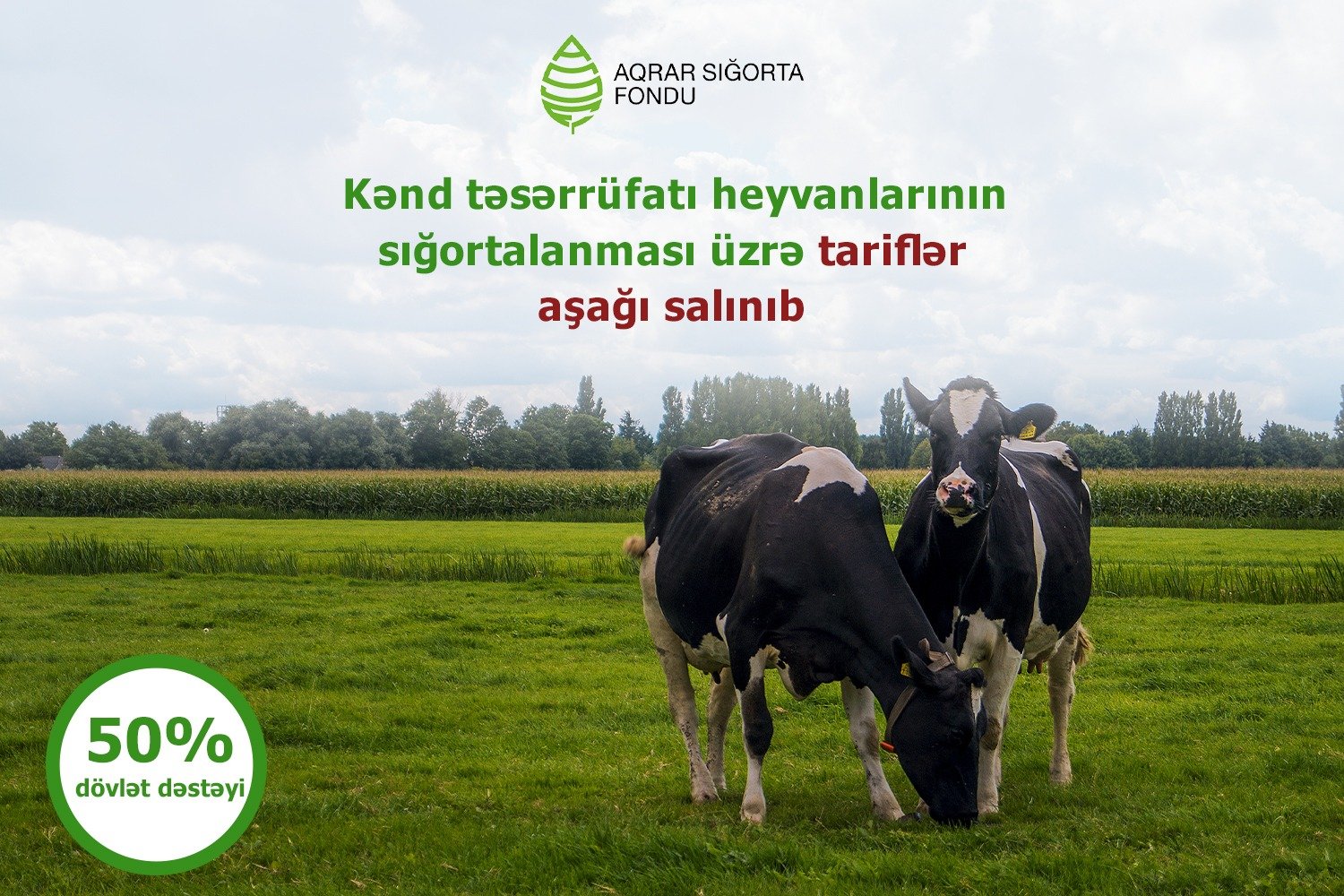Kənd təsərrüfatı heyvanları saxlayanlara 1705989992 472f7729 fd5f 4ca4 a1da b465340361ac.jpg
