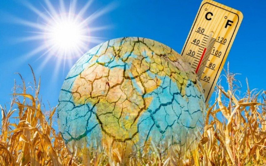 İyunda temperatur əvvəlki illərin istilik rekordlarını qırıb 1721619225 8325afcc 19d1 3f8b ac95 8ab7be90cc7c 850.jpg
