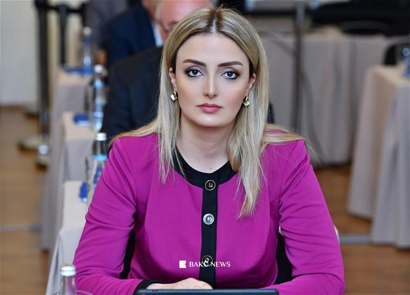 “Qərbi azərbaycanlılara qarşı törədilmiş ədalətsizlik heç bir halda qəbul edilə bilməz” Konulnurullayeva1.jpg