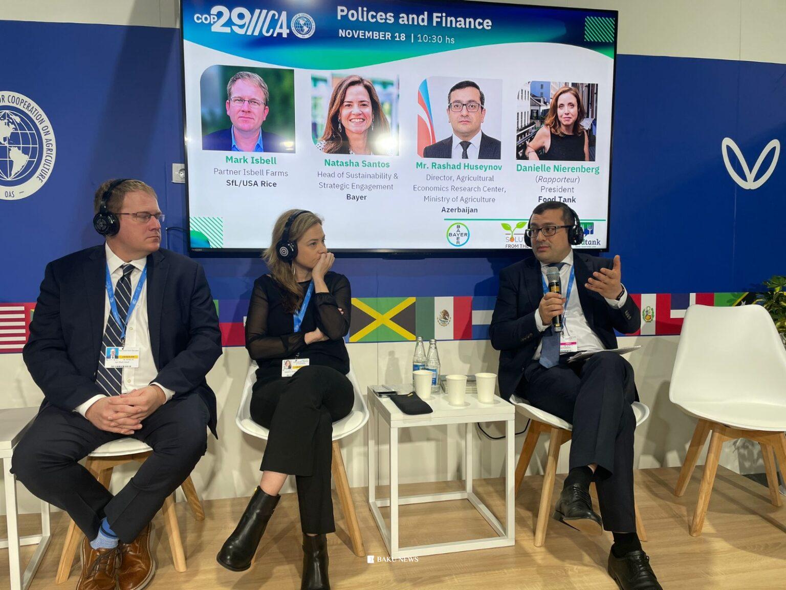 Aqrar Tədqiqatlar Mərkəzinin direktoru COP29 çərçivəsində panel müzakirələrdə çıxış edib Img 20241121 Wa0023.jpg