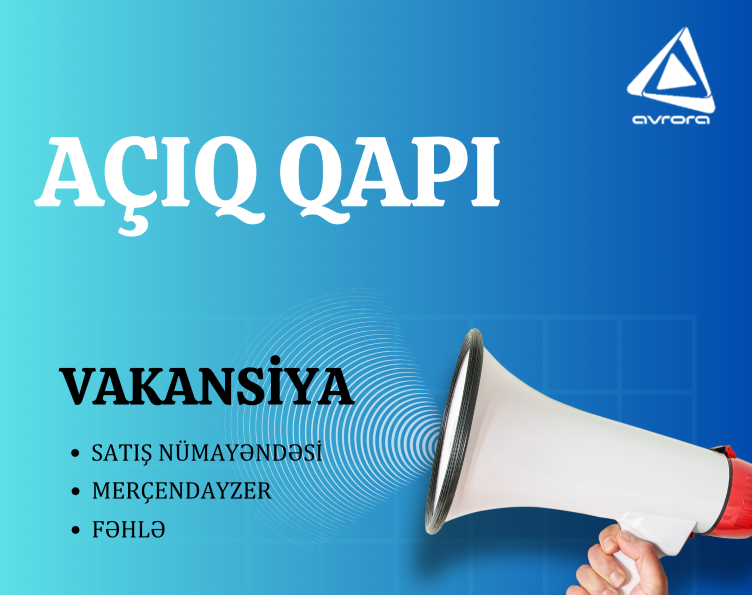 Aciq Qapi 2.png