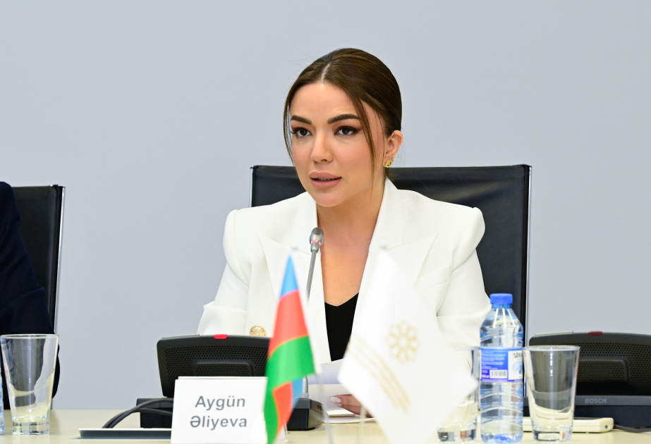 Yeni portal vasitəsilə QHT-lərə göstərilən xidmətlər daha əlçatan olub Aygun.jpg