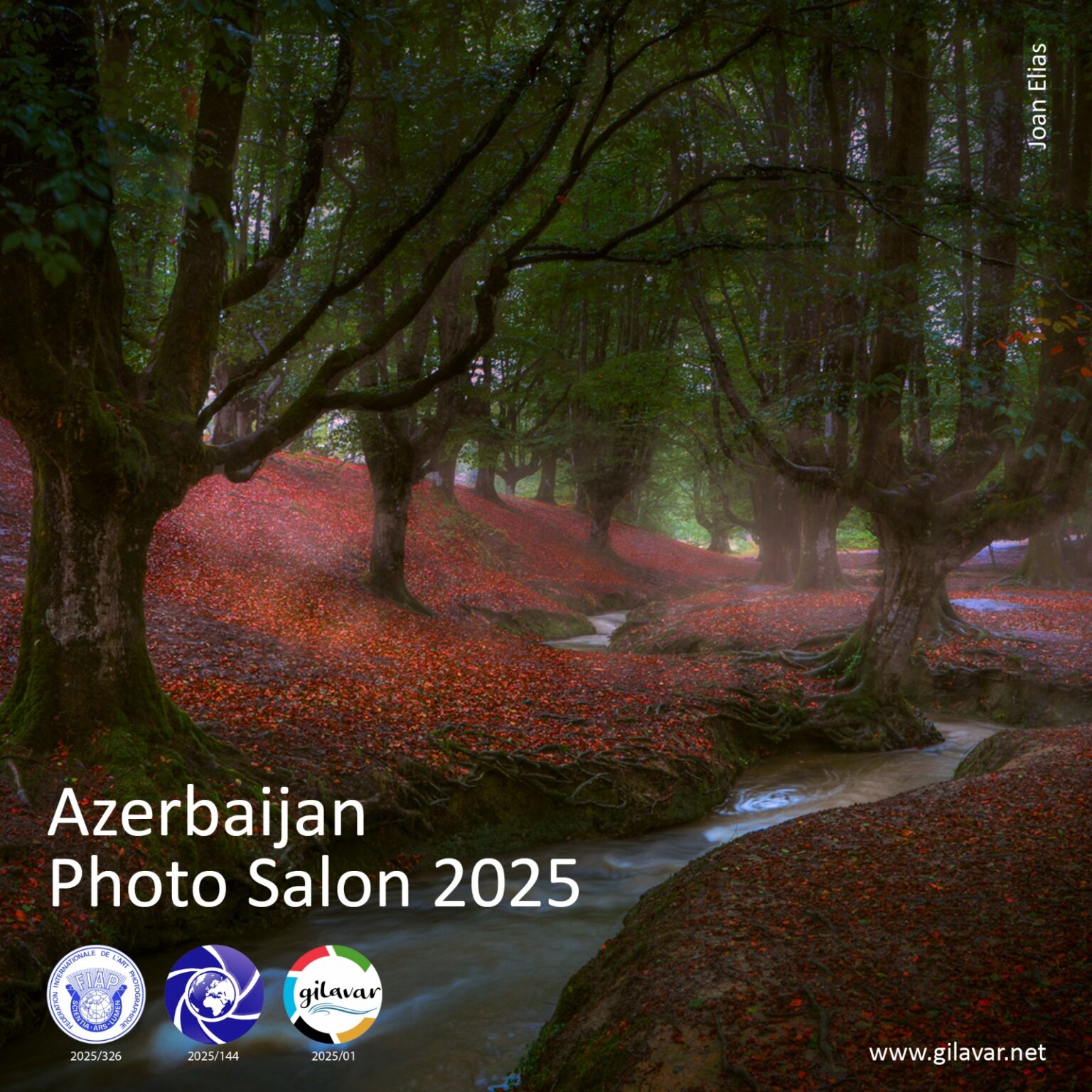 8-ci Azerbaijan Photo Salon adlı beynəlxalq fotomüsabiqə keçirilir 17e24b9d 861f 43c9 9c54 7f58590e8100.jpg