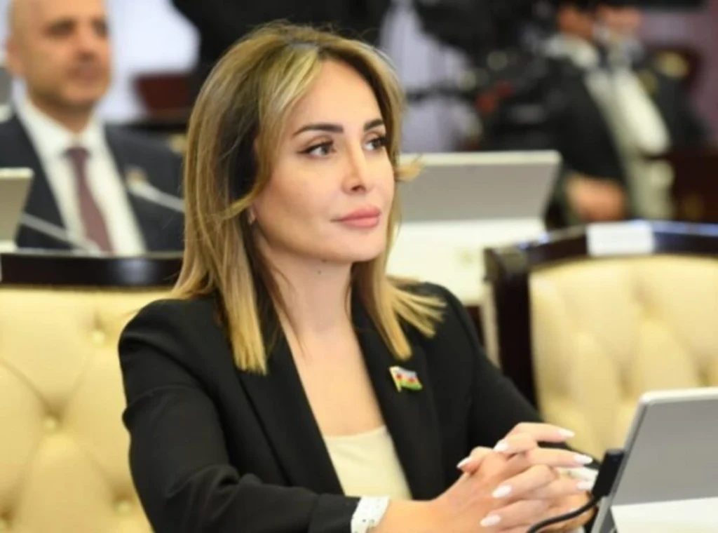 Nigar Məmmədova: “Qlobal Cənub ölkələrinin əməkdaşlıq potensialından istifadə etməliyik” Nigar.webp