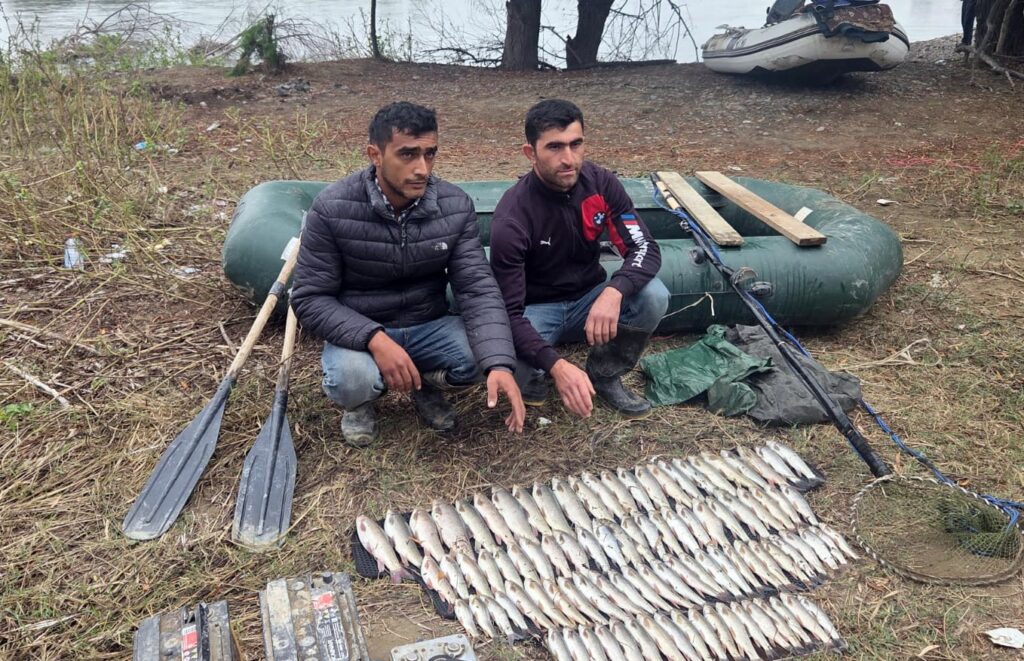 Mingəçevir su anbarı və Kürdə qanunsuz balıq ovu faktları aşkarlanıb Ef38b367 0a33 4011 ac68 696555afc4b2