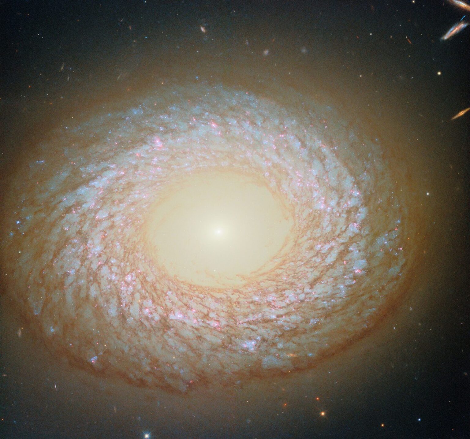 Hubble ngc2775 potw2538a scaled 1