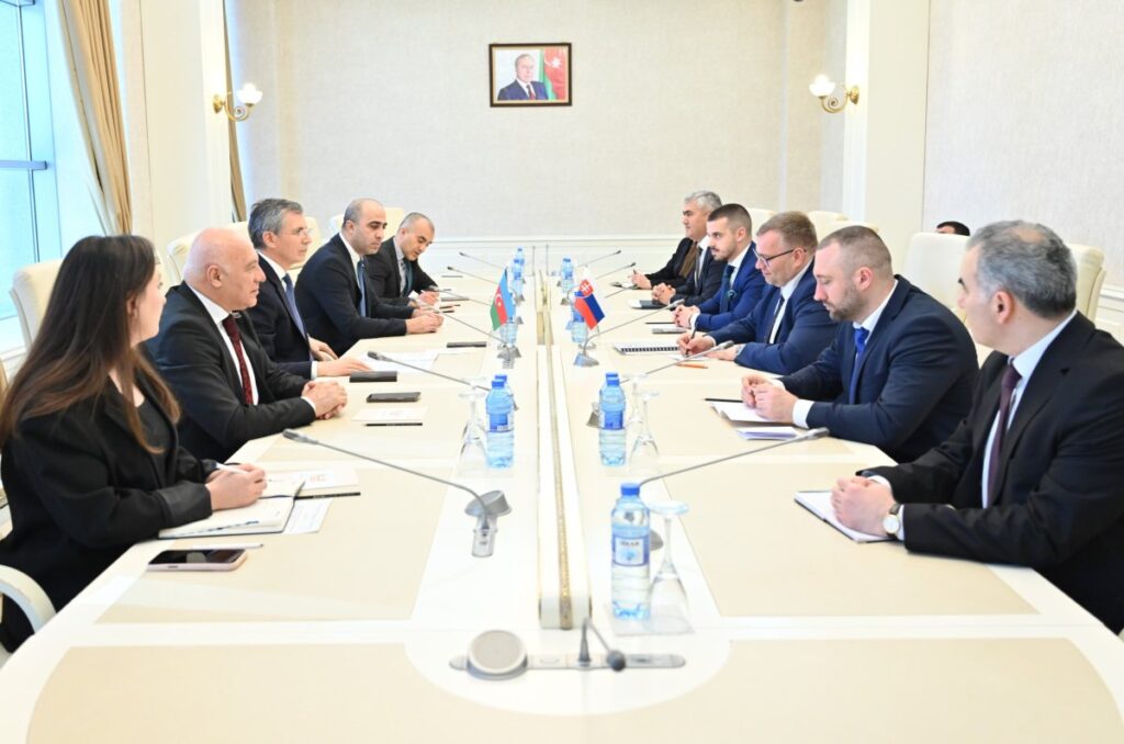 Slovakiya Ombudsmanının rəhbərlik etdiyi nümayəndə heyəti Milli Məclisdə Ca4d2f5c 5e5a 4c2a bd5b 3065286d936a 69d662b613270