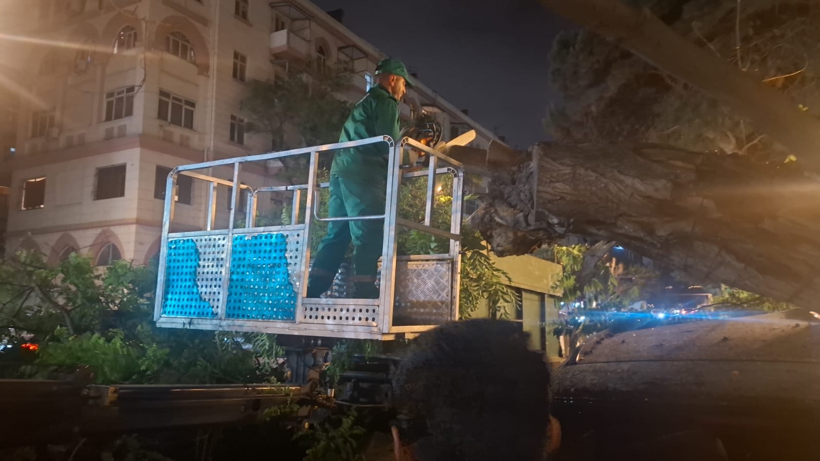 Dünəndən bəri Bakıda 41 ağac sınıb - OPERATİV MƏLUMAT - Şəkil 9