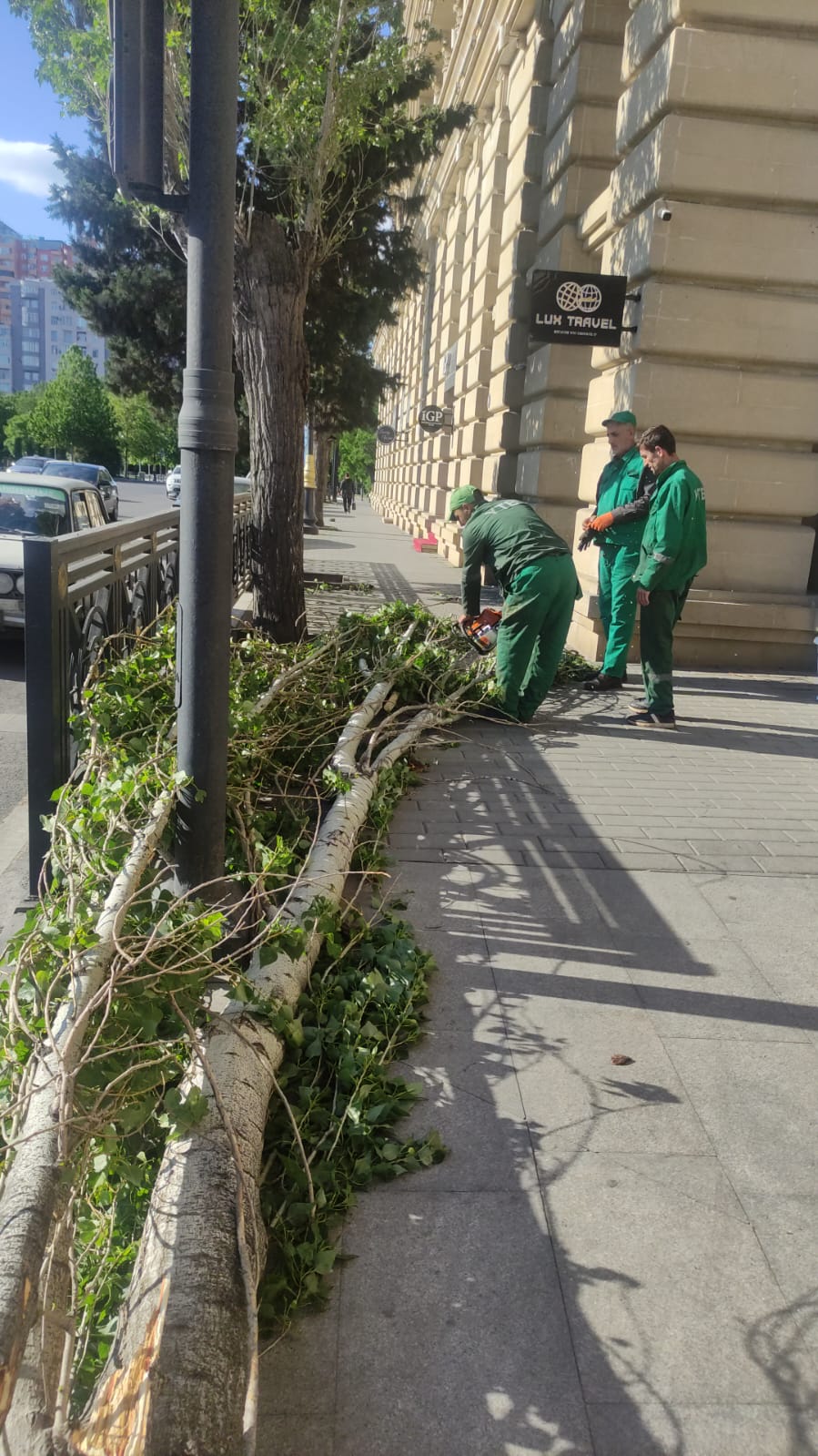 Dünəndən bəri Bakıda 41 ağac sınıb - OPERATİV MƏLUMAT - Şəkil 3
