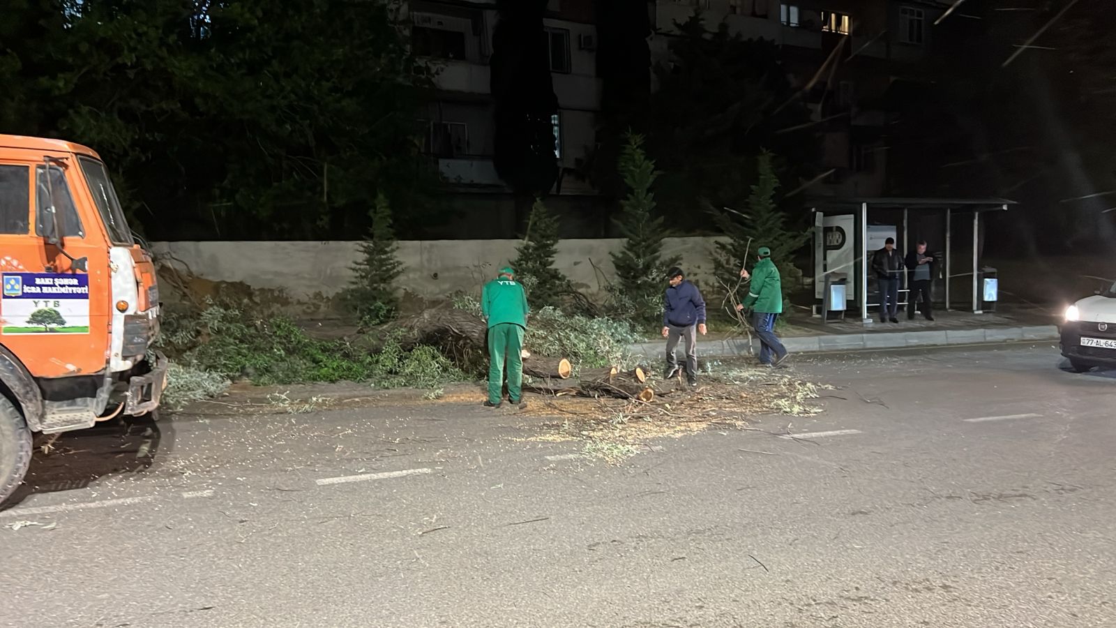 Dünəndən bəri Bakıda 41 ağac sınıb - OPERATİV MƏLUMAT - Şəkil 6