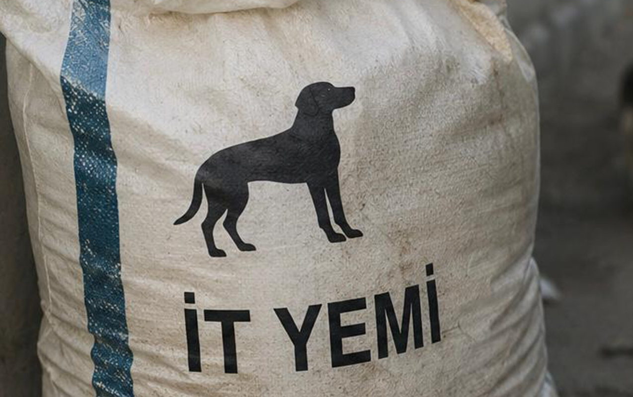 Vəzifəli şəxslər küçə itlərinin yempulunu da mənimsəyiblər - Şəkil 1
