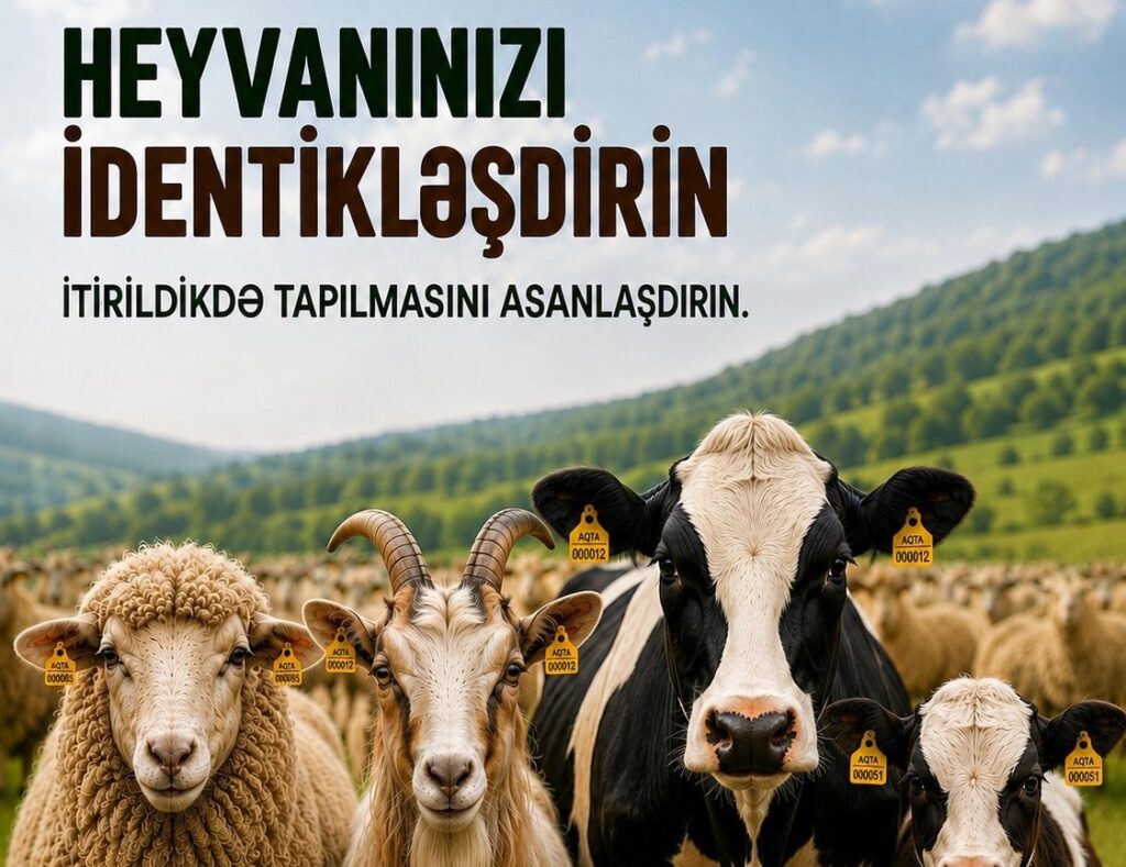 025d2db9 50c7 4708 baa5 e575184f06ca 6a63678186e7b