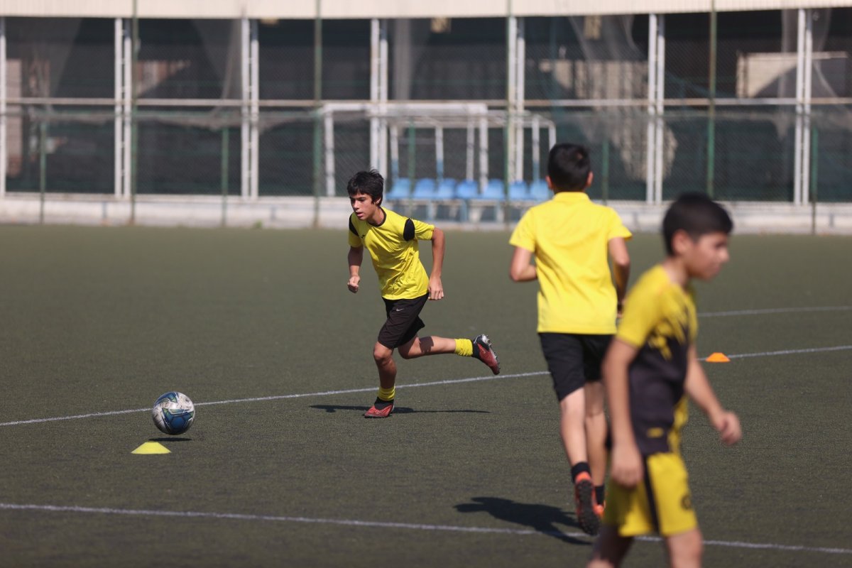 383eeda5-35e7-4404-8392-4ebfcbbed1a8-6a719c27c38b6.jpg