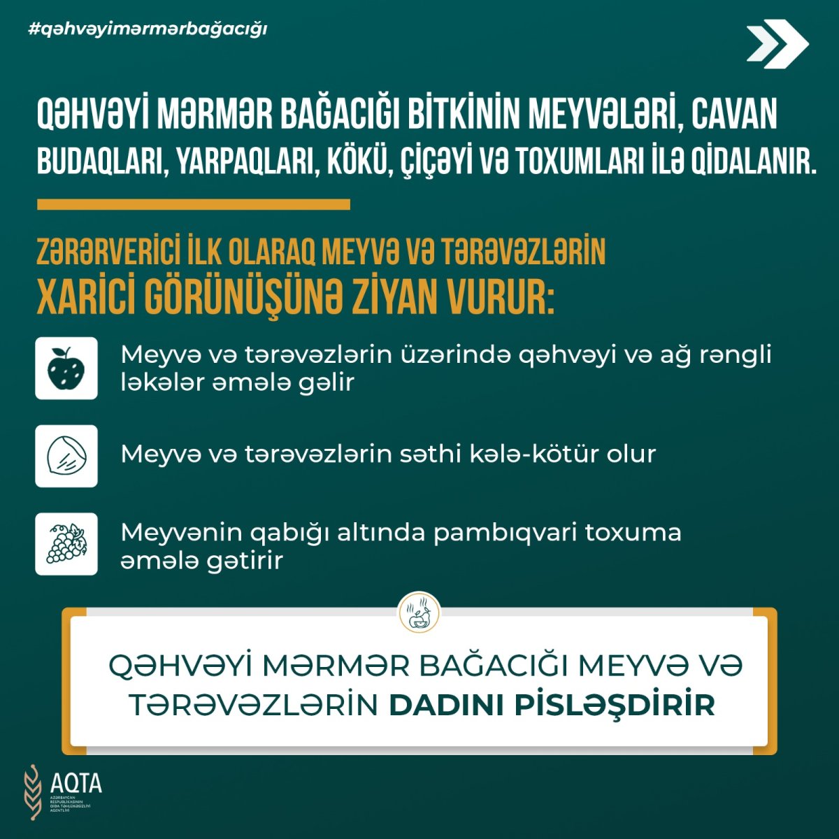 d1a6ae07-1f44-4700-a13c-4ec2a460f8a2-6a9e6ea5a5458.jpg