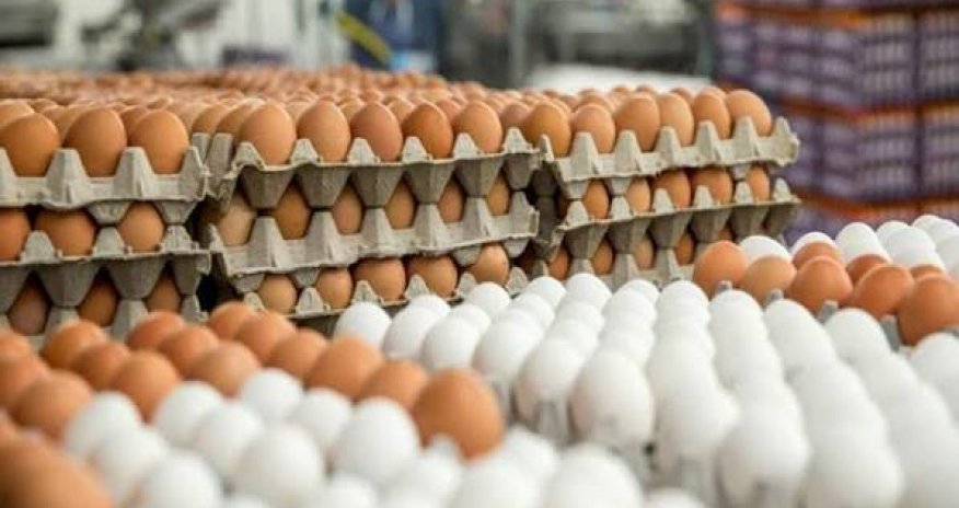 Kənd yumurtası baha, fabrik yumurtası ucuz – Səbəbi açıqlandı Yumurta1 6ac63e5fe1066